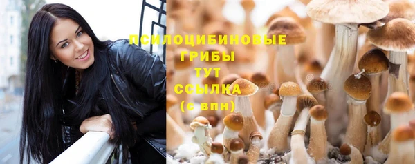 гашишное масло Богданович