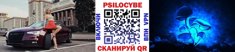 Псилоцибиновые грибы Psilocybe  Купить закладки  Яранск 
